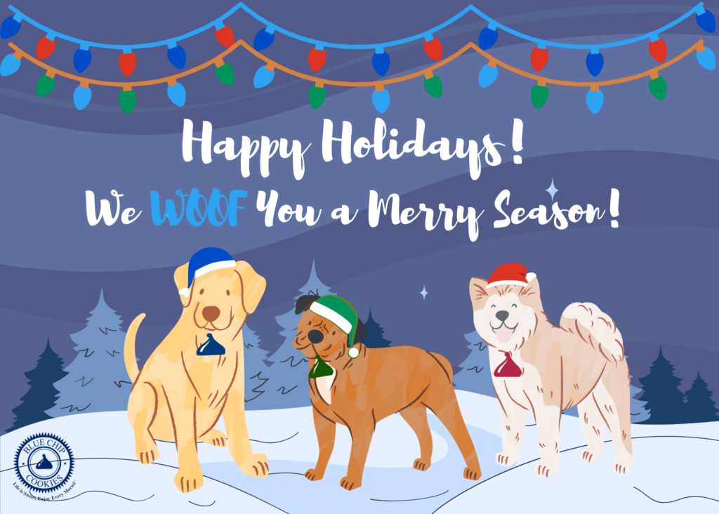 Holiday greeting card with three festive dogs in snow.