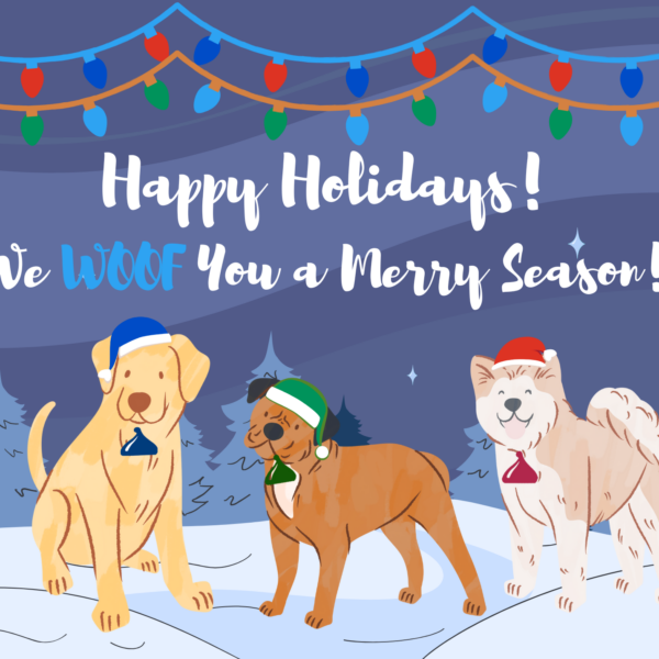 Holiday greeting card with three festive dogs in snow.