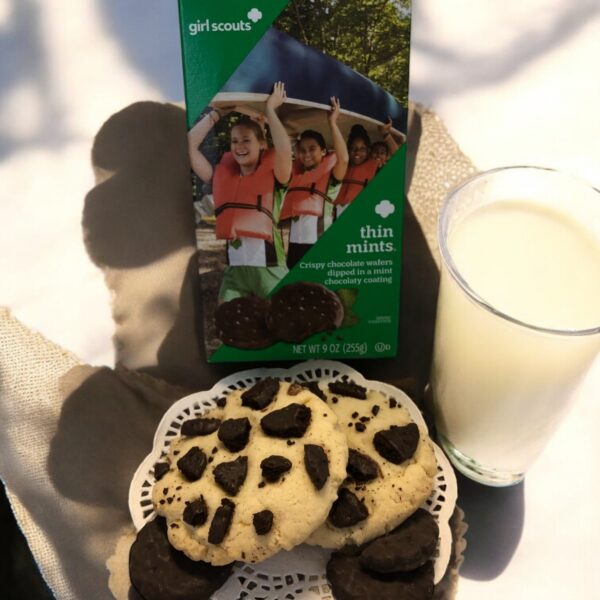 Girl Scout Thin Mints box, cookies, and milk outdoors